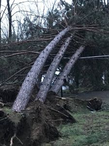 storm 