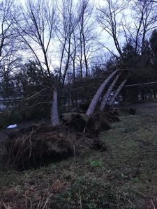 storm 