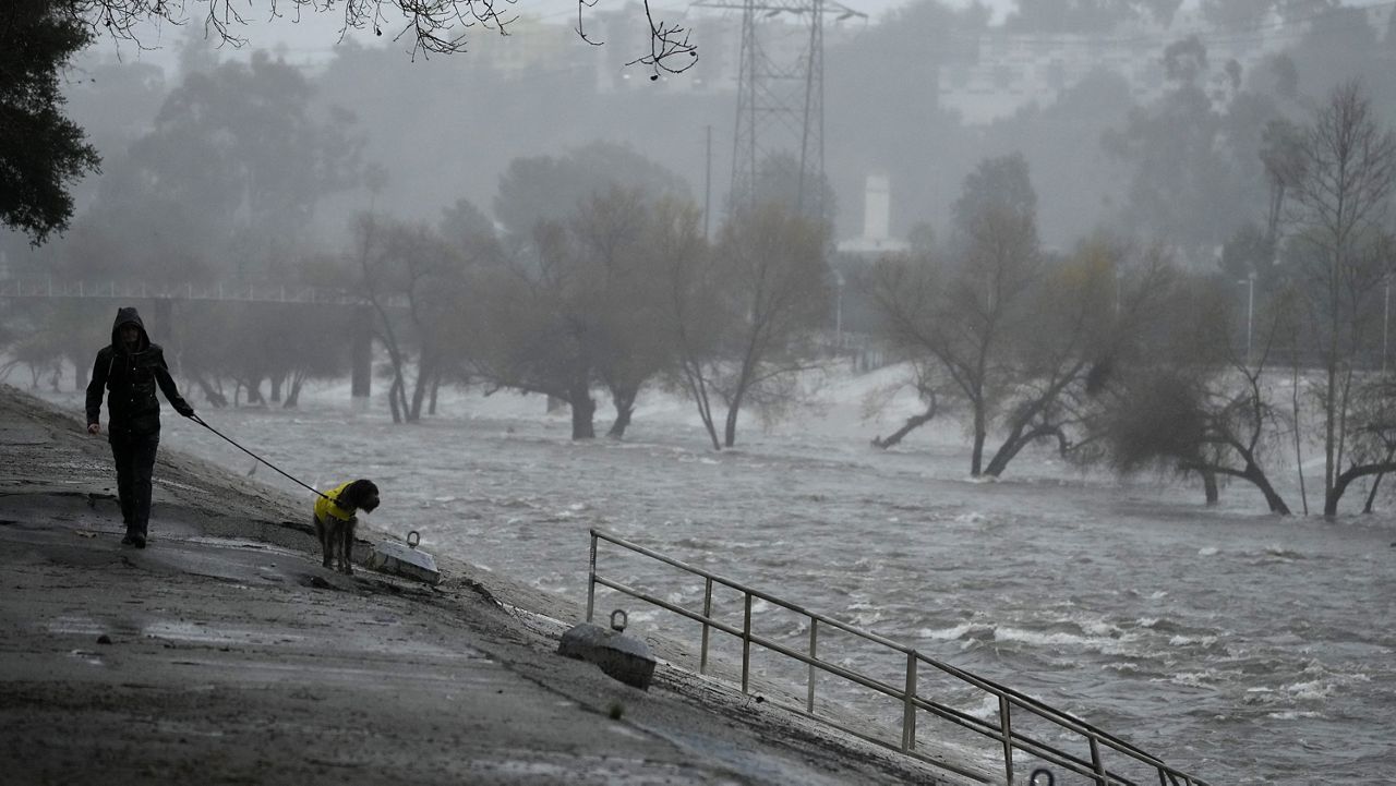 A man walks his dog on the edge of the Los Angeles River, carrying stormwater downstream Sunday, Feb. 4, 2024, in Los Angeles. (AP Photo/Damian Dovarganes)