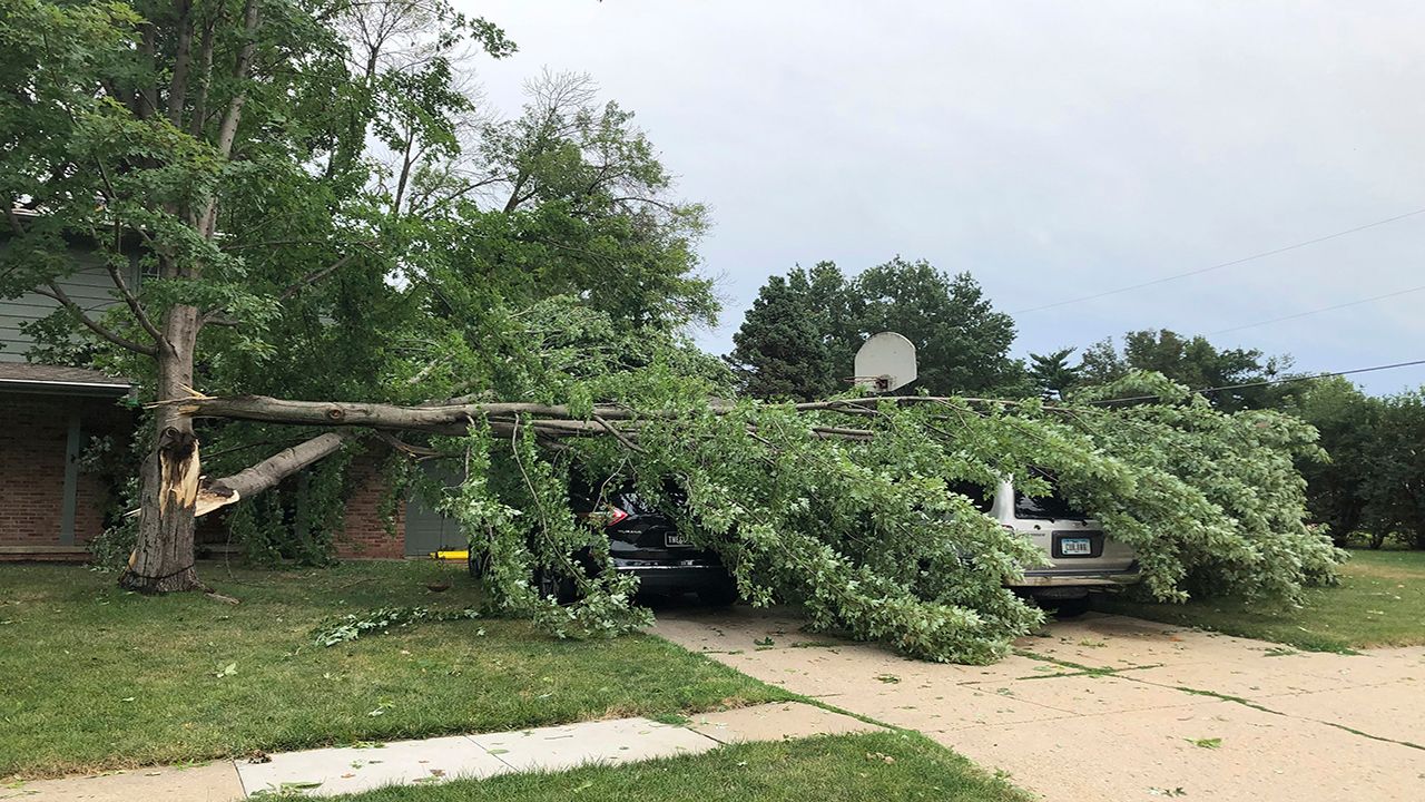 wind damage