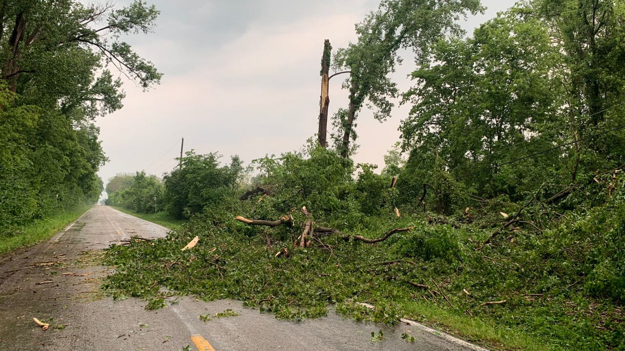 Downed tree branches from Thursday night's storm on June 15, 2023. (Photo courtesy of Emerson Young)