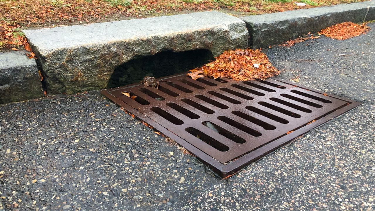 storm grate