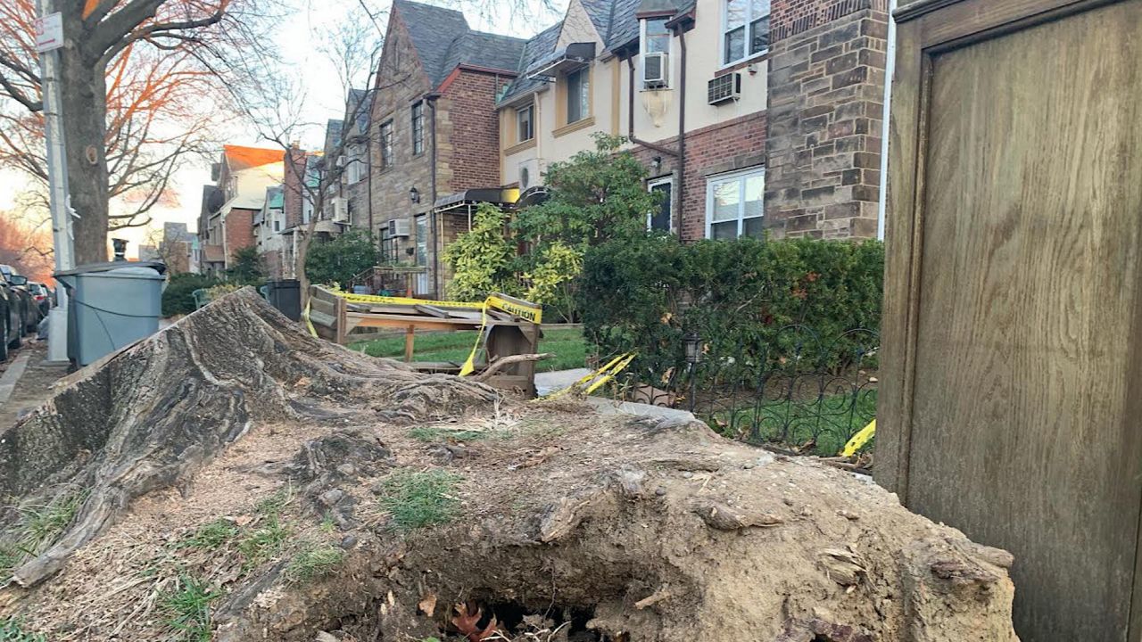 Hurricane Isaias Damage Still Visible in Queens