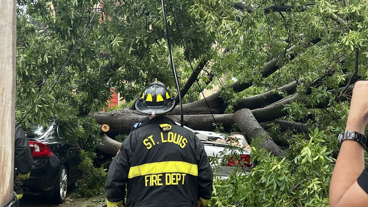 A St. Louis woman died Saturday after a tree fell on her car in South St. Louis. Authorities say fire crews were on scene eight minutes after a call was received but others have said they tried for 30 minutes to reach dispatchers. (Photo Credit: Helen Petty)