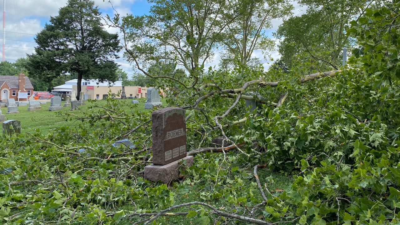 Strong storms down trees at St. Trinity Cemetery in Lemay, Mo. on July 13, 2023.  (Spectrum News/Becky Willeke)