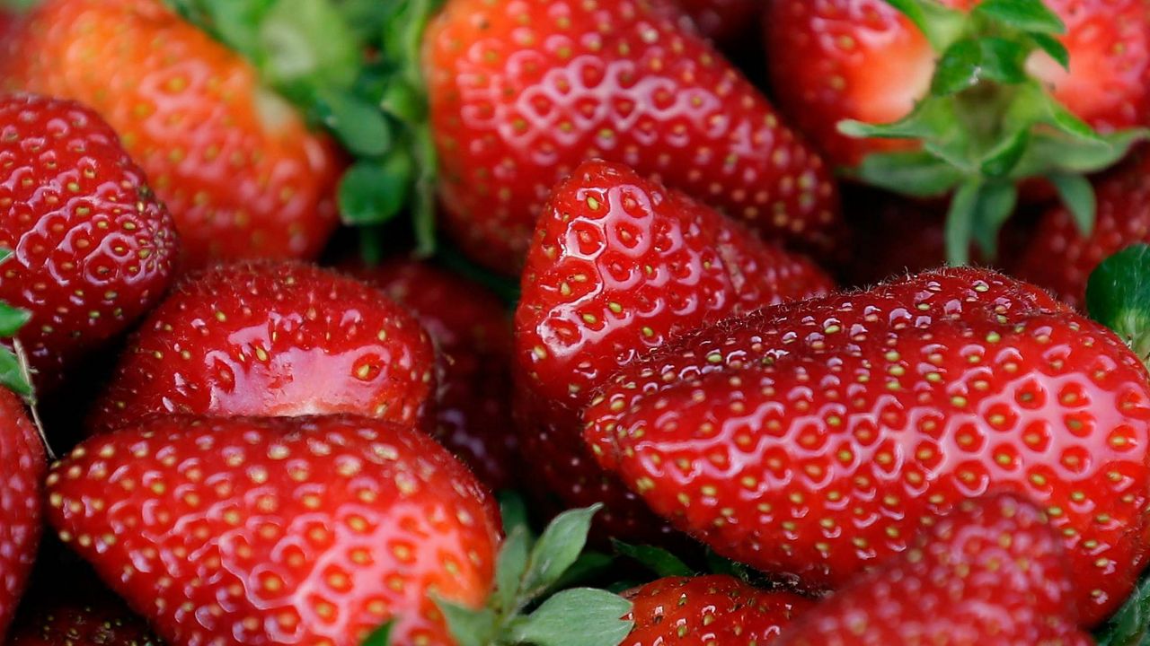 U.S. and Canadian regulators are investigating a hepatitis outbreak that may be linked to fresh organic strawberries. (AP Photo/File)