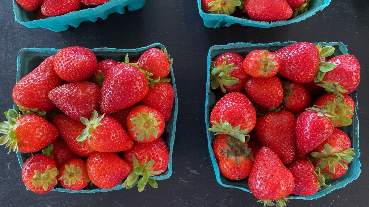 Farmers share how to keep strawberries healthy