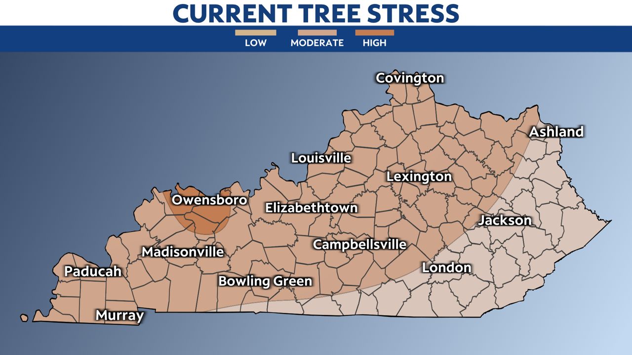 The drought could affect fall color this year