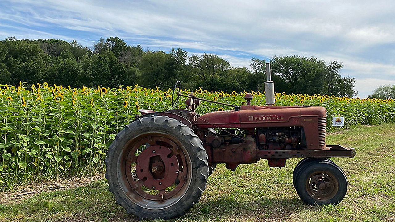 Empire Farm Days returns to Palladino Farms in Pompey