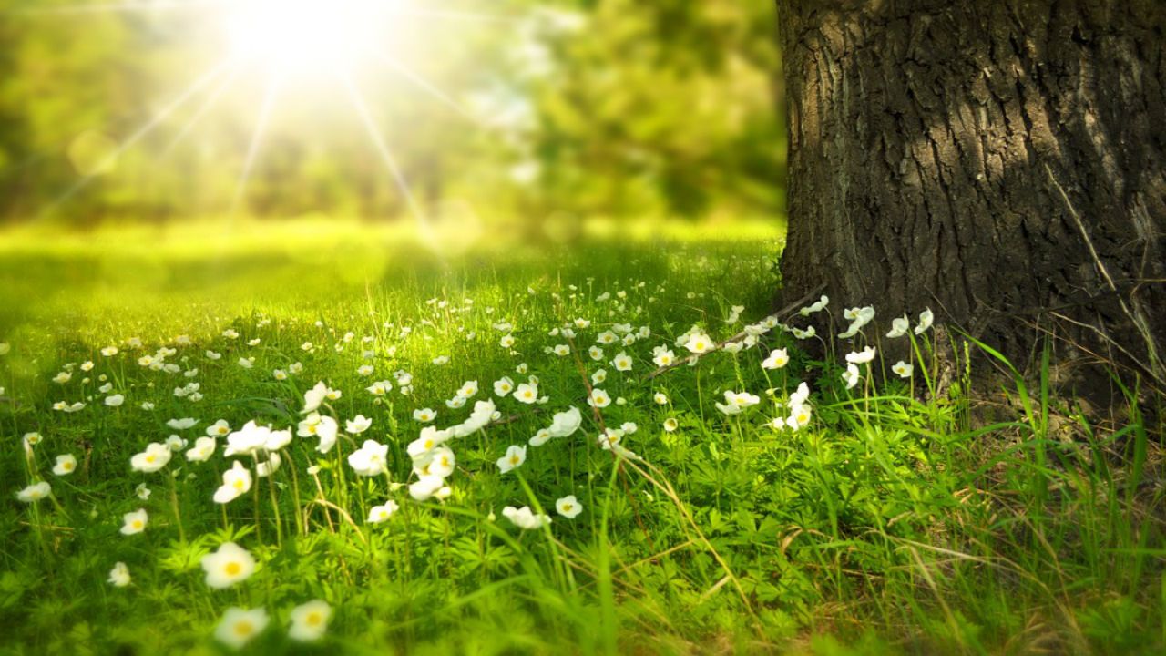 sunny weather