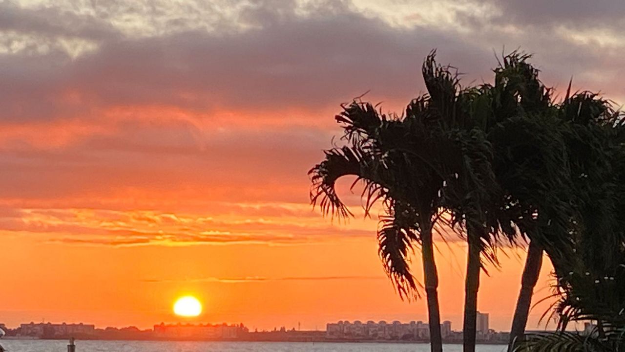 Tampa-Area Weather: Warmer, Mix of Sun, Clouds Sunday