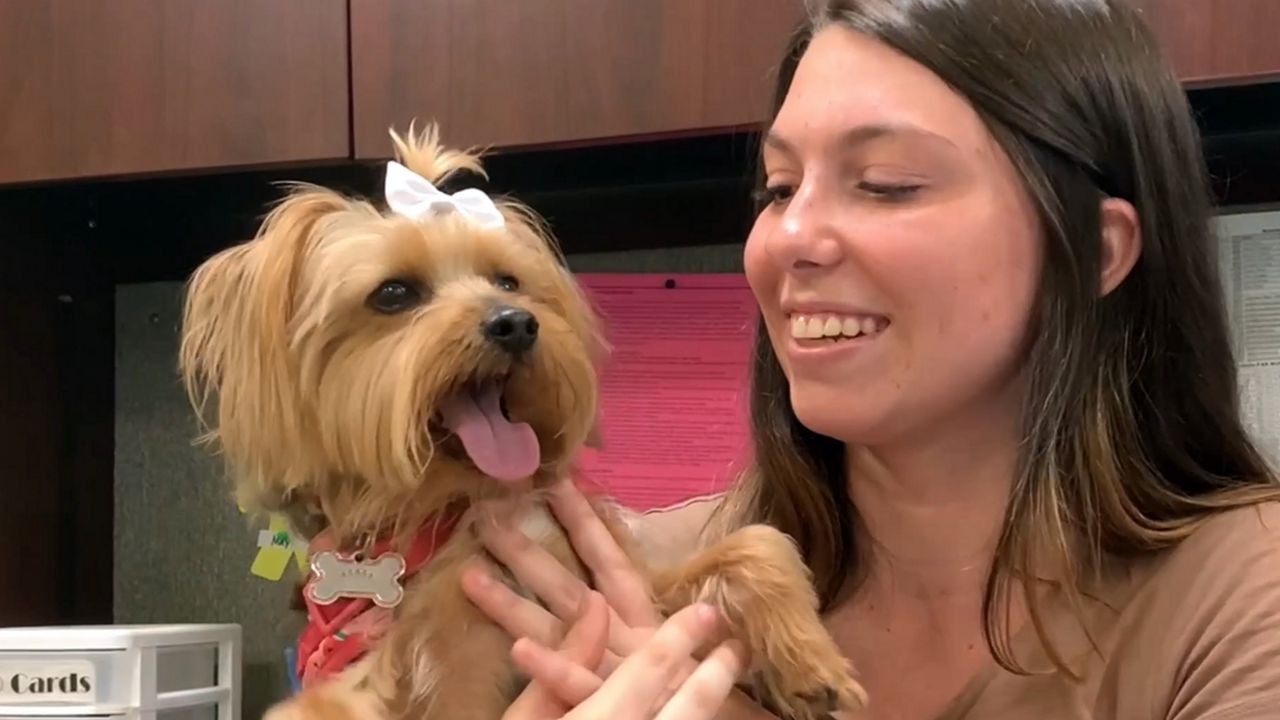suny canton student with her dog