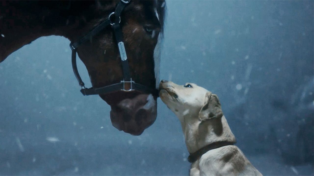 Super Bowl ads that have fans buzzing ahead of game