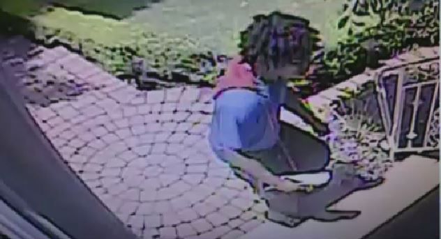 A Thief is Caught on Camera, Stealing a Package off a Front Porch on ...
