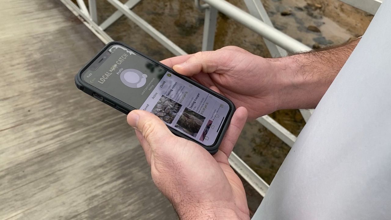 New app connects customers directly with commercial fish industry
