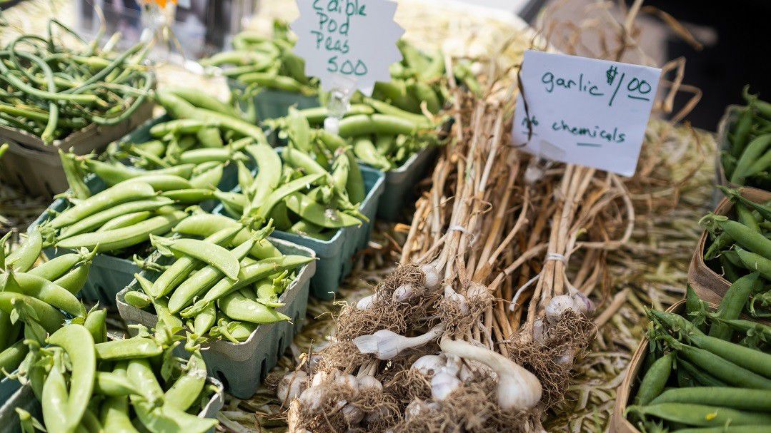 farmers market