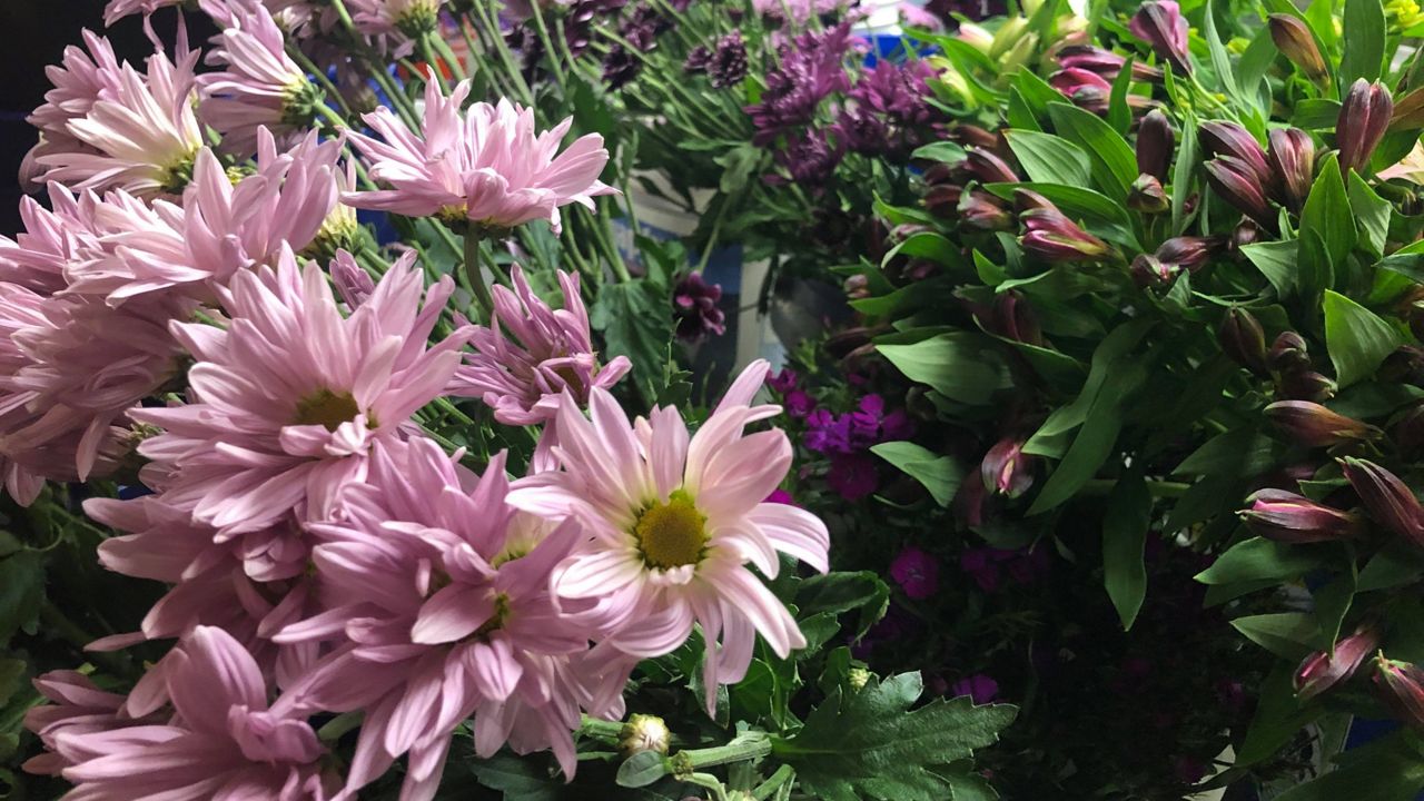 Flower Shop Reopens for No Contact Home Deliveries