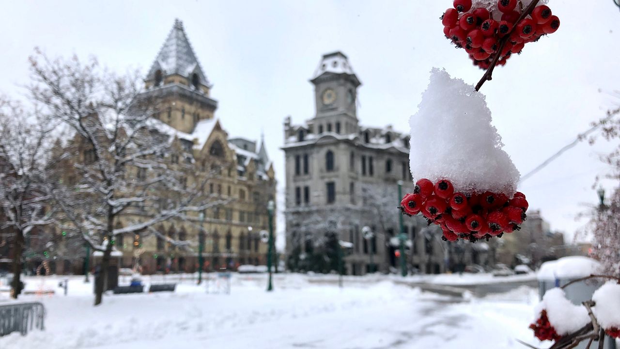 snowy Syracuse
