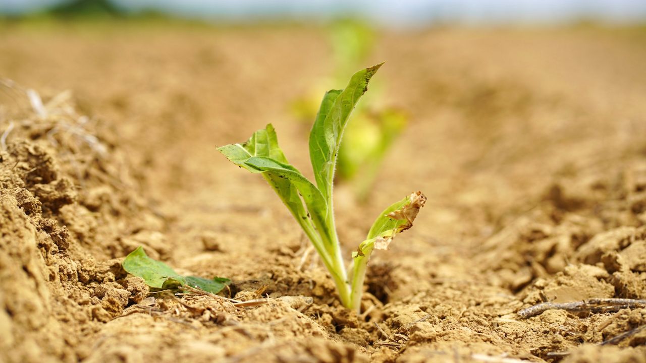 Kentucky farmers back bill to expand U.S. fertilizer production