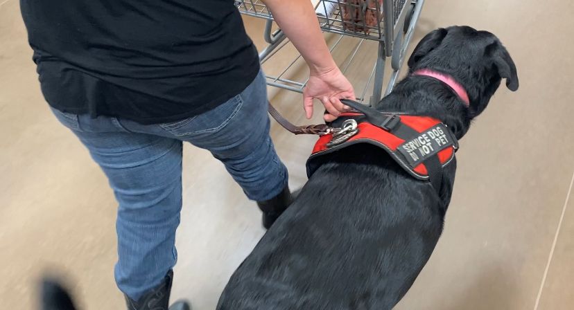 Rios guides service dog, Tabitha, through a Greensboro Walmart