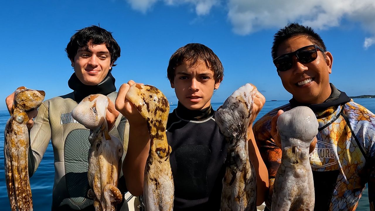 Keiki Fishing Adventures Diving for tako