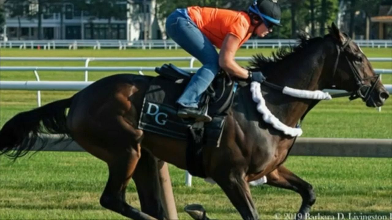 Tax Seeks Travers Success