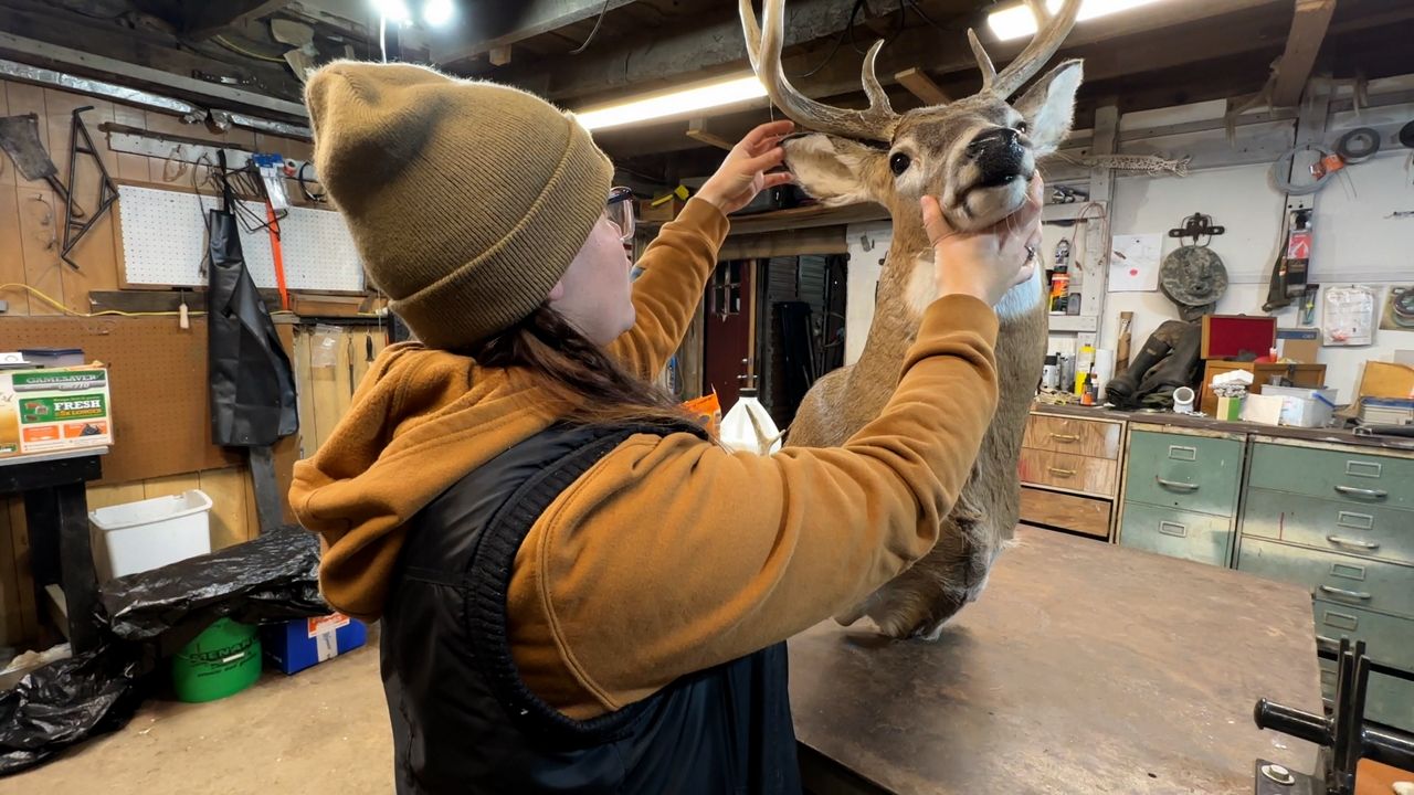 Woman happy with the support she’s received in male-dominated taxidermy business