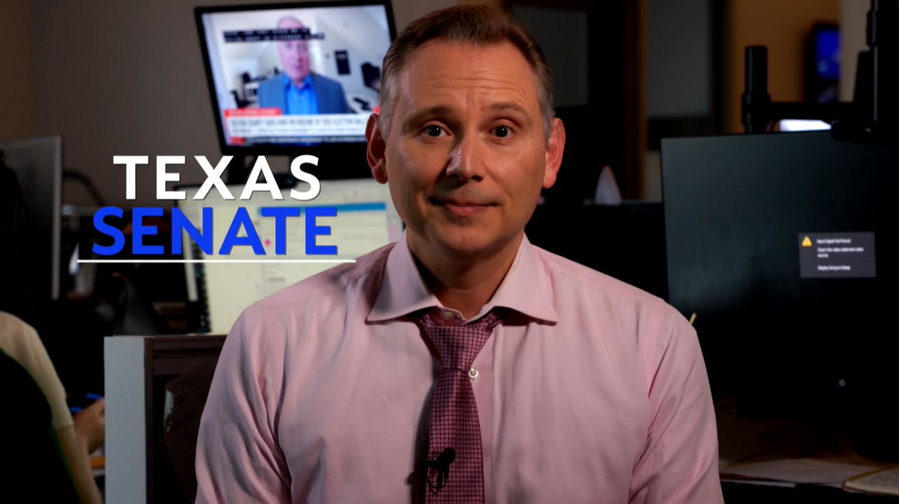 The job of a Texas senator