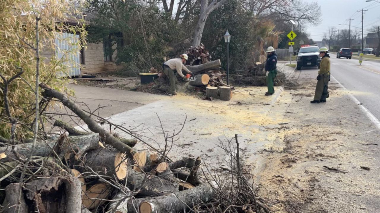 Texas A&M Forest Service crews in Austin, Texas. (Texas A&M) 