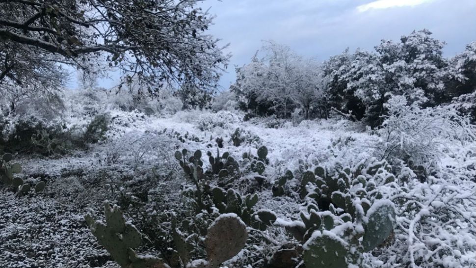 Spectrum Reporter Kathryn Gisi's photo of Texas snow. 