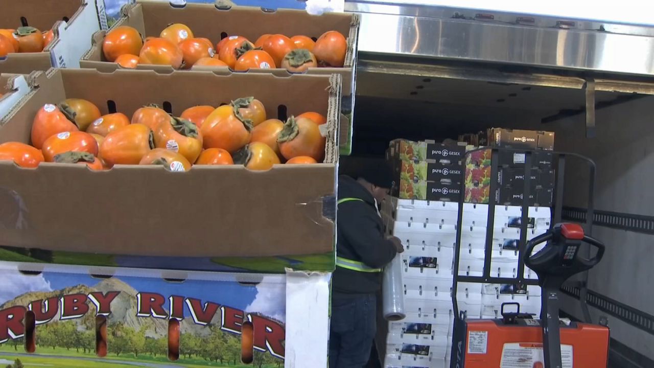 Thanksgiving is almost here, which means today will likely be the busiest day of the year for the Hunts Point Produce Market in the Bronx. More than 30 million pounds of produce like sweet potatoes, cranberries and apples will be loaded up on trucks and distributed throughout the city. (Spectrum News NY1/Alyssa Paolicelli)