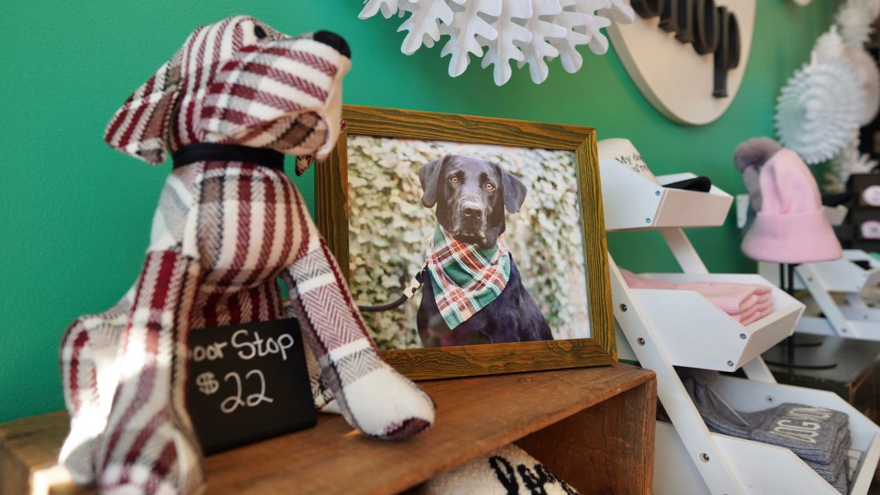 Business owners poised to make a great impression on Saturday