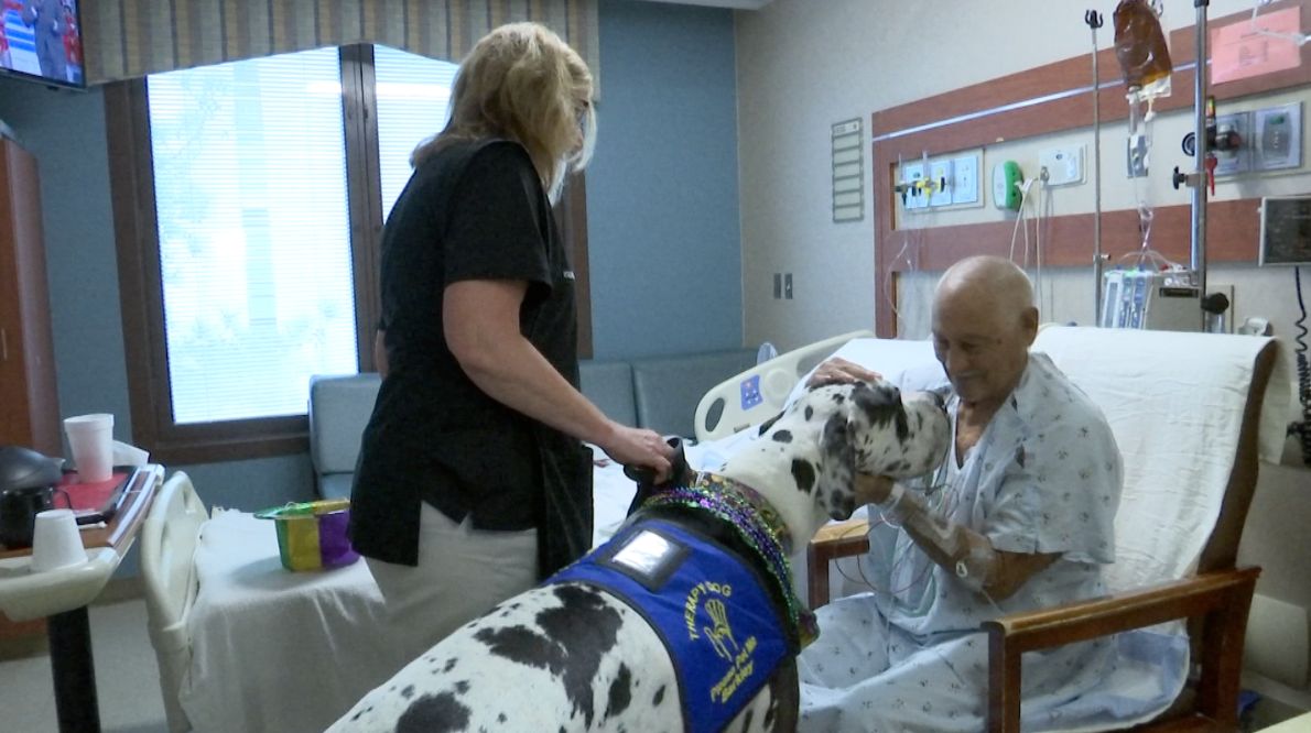 are therapy dogs allowed in hospitals