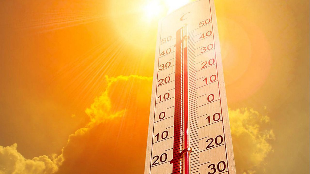 Realistic weather thermometer with high and low temperature