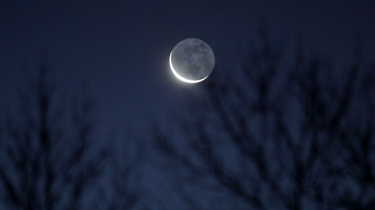 Thin crescent moon through winter trees