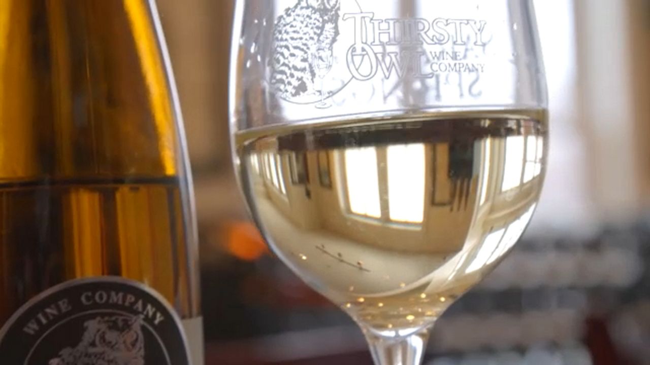 Saratoga Springs Wine Thirsty Owl