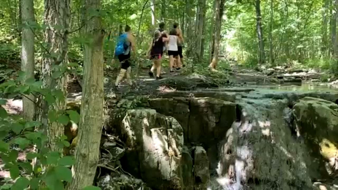 A Hidden Hiking Gem in Manlius