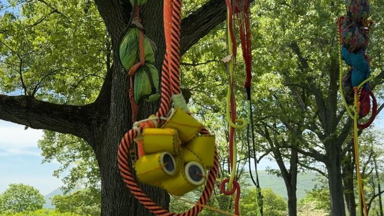 Sonia Gomez's Art On Display at Storm King Art Center Photo By: Darcie Ortique/Spectrum News 1