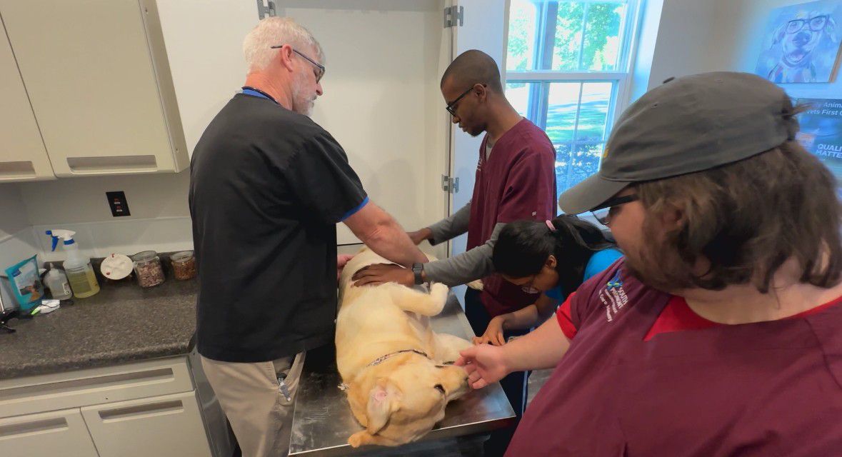 Dr. William Pressly, left, is the owner of Pressly Animal Hospital. He's testing South Piedmont Community College students on their animal care knowledge (Spectrum News 1/Photo Credit)