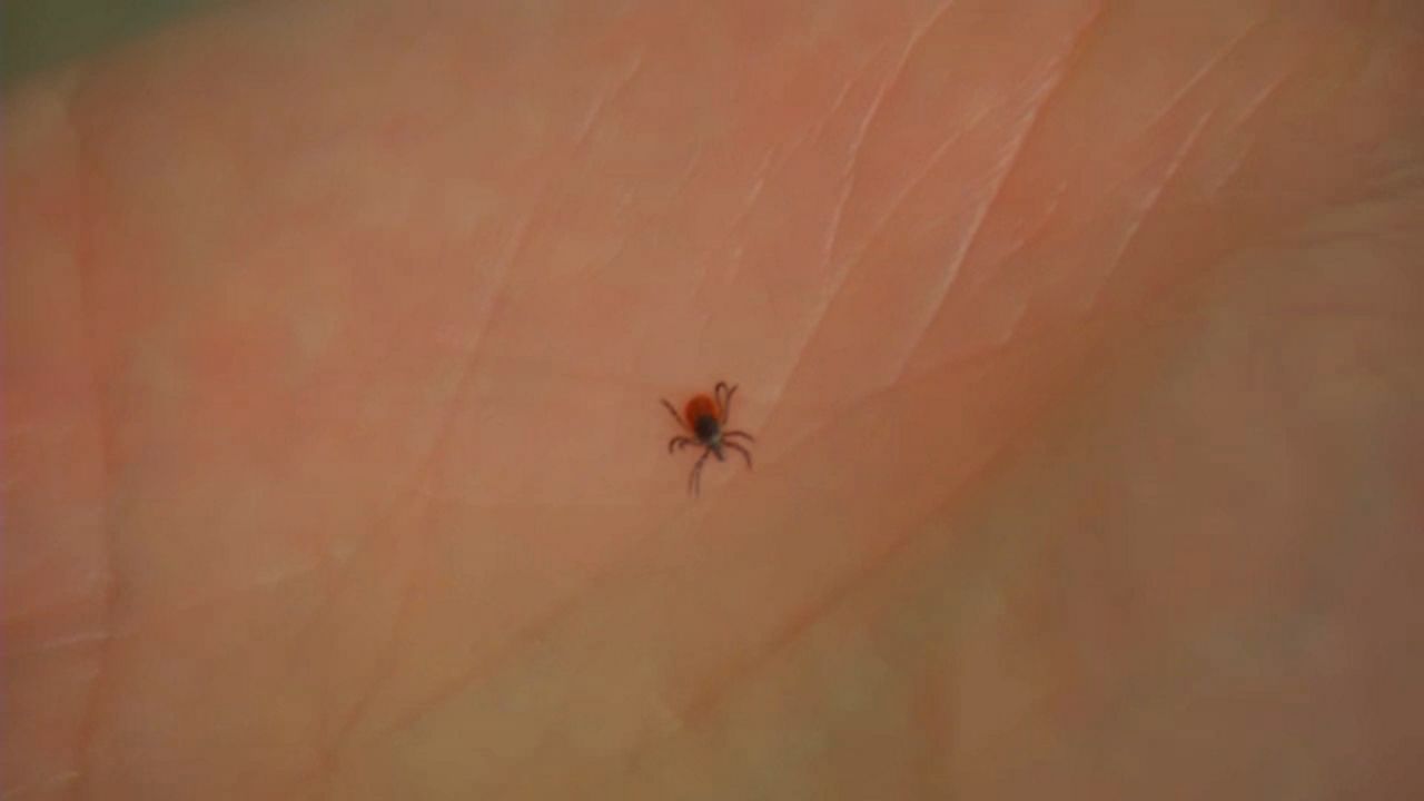 Tick Season Returns to Western New York