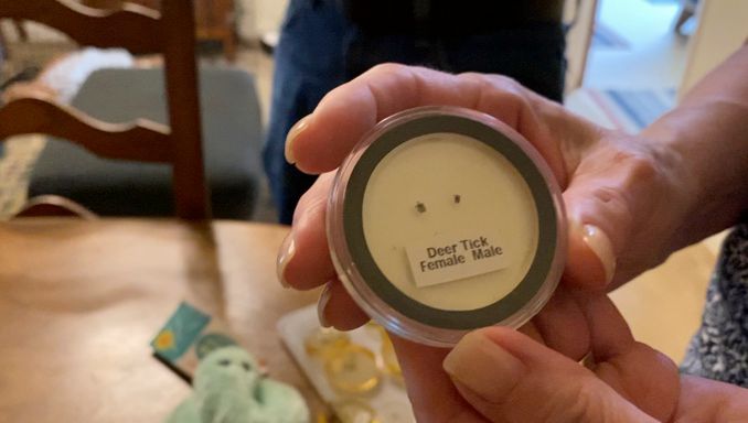 Couple raises awareness about Lyme disease - Vimarsana News