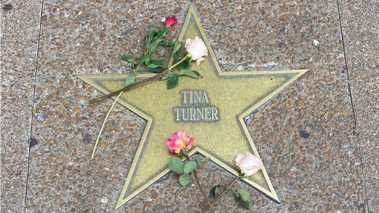 Fans are leaving flowers at the Tina Turner's star on the St. Louis Walk of Fame. Fans are leaving flowers at the Tina Turner's star on the St. Louis Walk of Fame. 