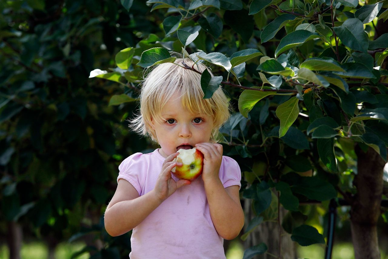 Apple season and drought conditions Orlando Lanes