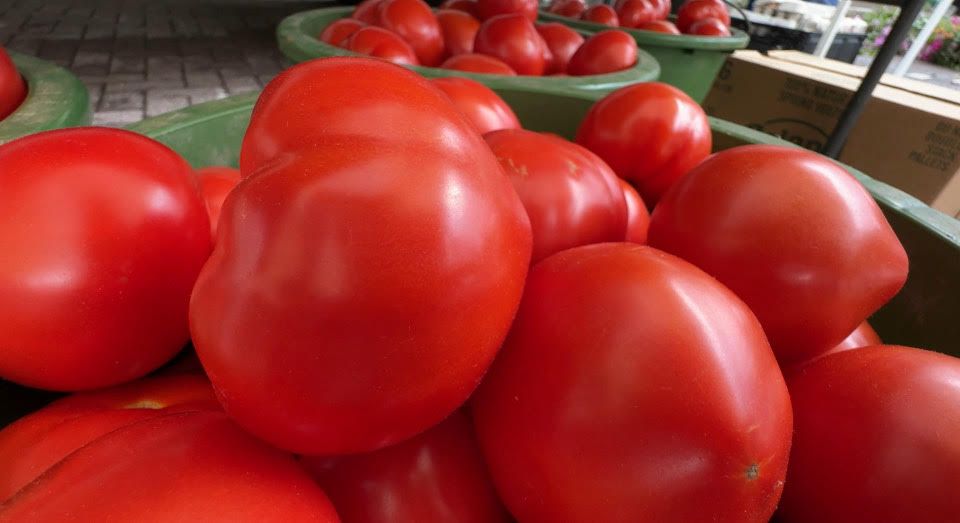 Bright red bushel of tomatoes at the Downtown Syracuse Farmers Market. By Lacey Leonardi, Spectrum News 1