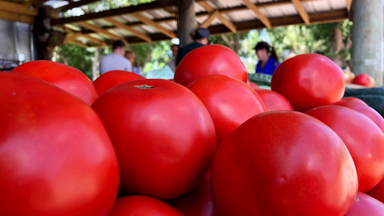 Tomatoes