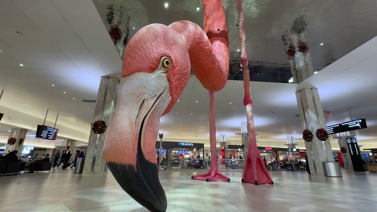 Tampa International Flamingo (Courtesy: Tampa International Airport)