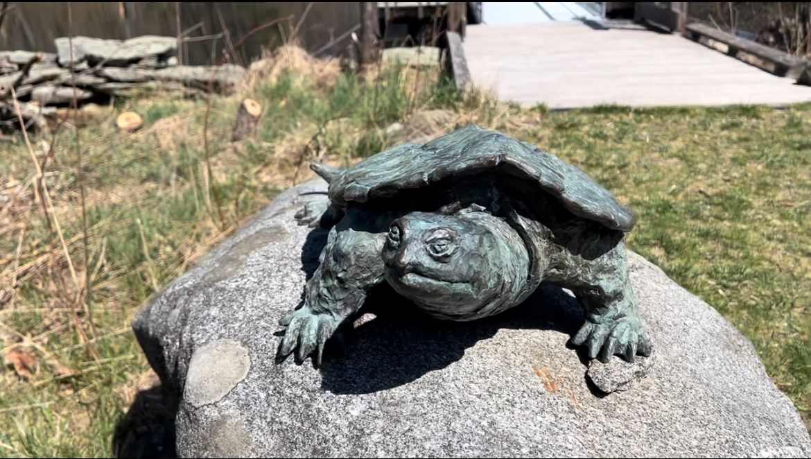 The turtle sculpture at the Wachusett Meadow Wildlife Sanctuary in Princeton. (Spectrum News 1/Kyra Ceryanek)