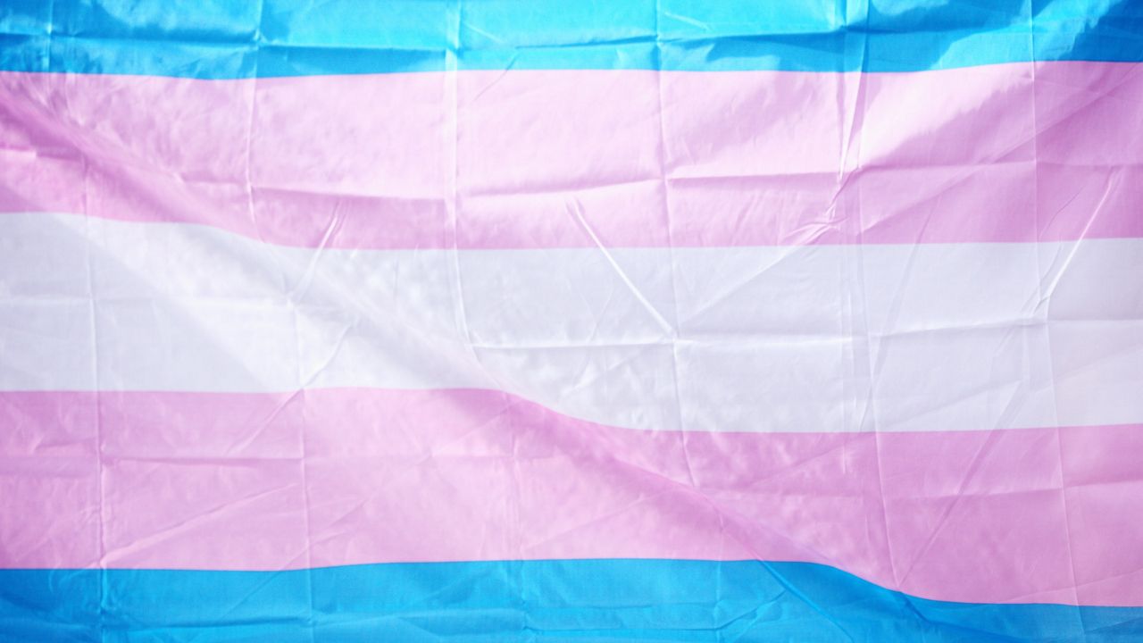 trans flag