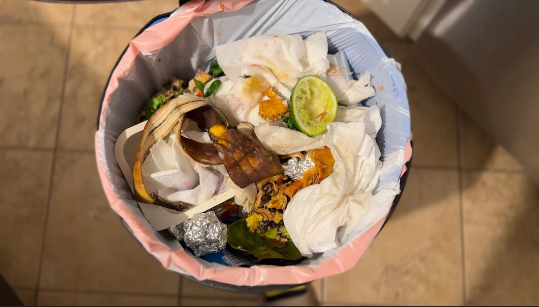 The environmental, economic and social impacts of food waste, and what you can do about it