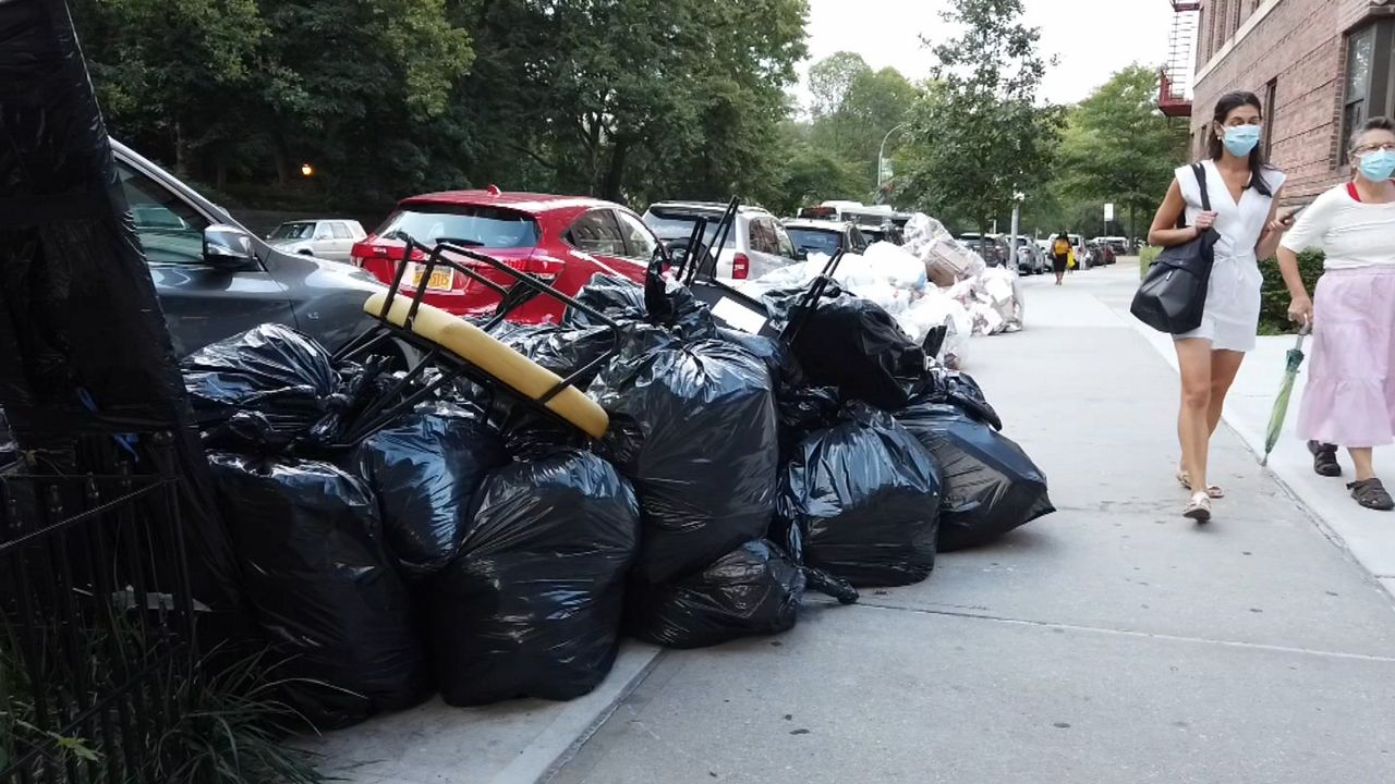 Clear Garbage Bags, Curb It St. John's